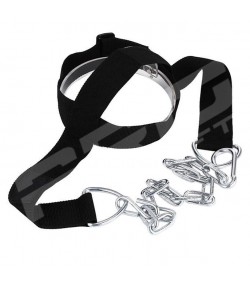 Head Harness
